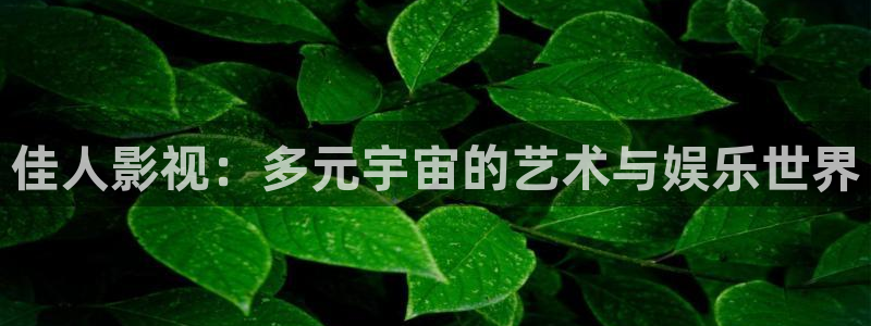 欧美浮力影院：佳人影视：多元宇宙的艺术与娱乐世界