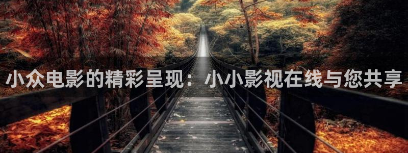欧美第一浮力影院：小众电影的精彩呈现：小小影视在线与您共享