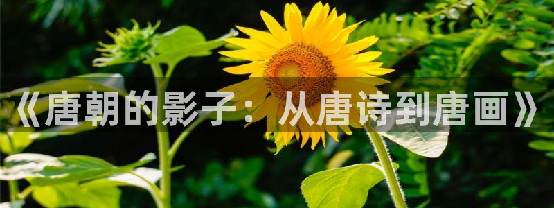 国产浮力第一页草草影院：《唐朝的影子：从唐诗到唐画》