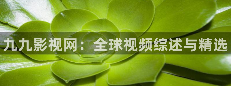 浮力影院一区：九九影视网：全球视频综述与精选